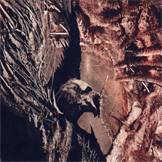 Sacred Crucifix : Promo 2003